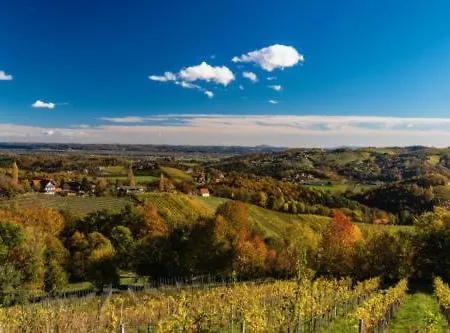Kellerstoeckl Goigner * Kitzeck im Sausal